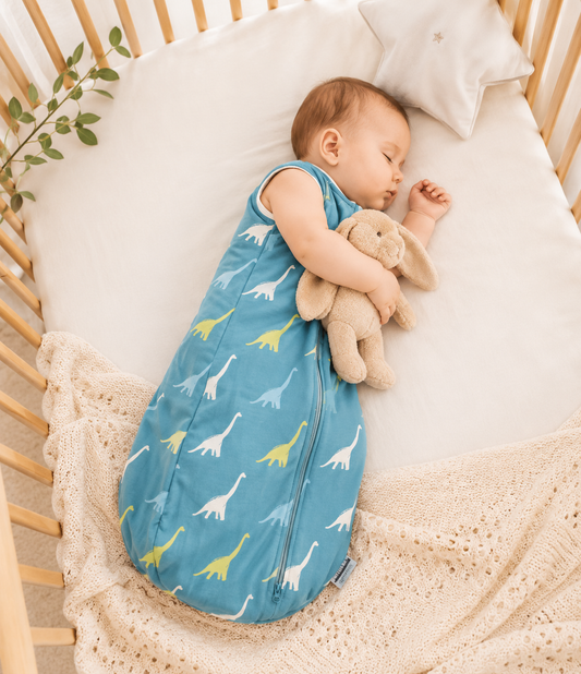 Gigoteuse bébé Dinosaures