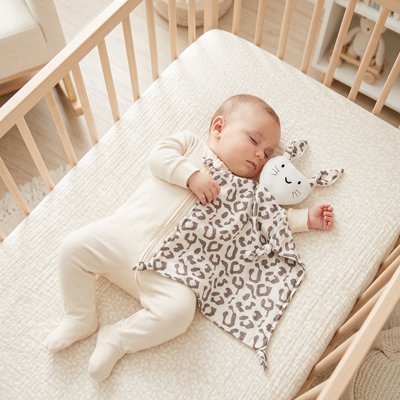 Doudou Bébé  Sommeil