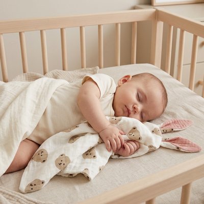 Doudou  de Bébé